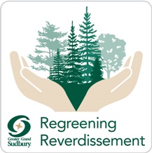 Regreening logo- open hands with tree in the middle