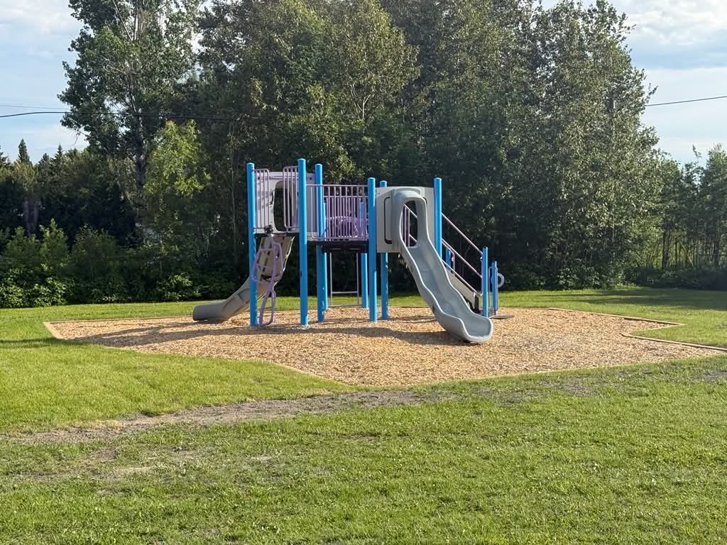 Photo of garden beds