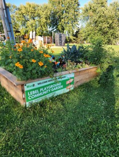 Photo of garden beds