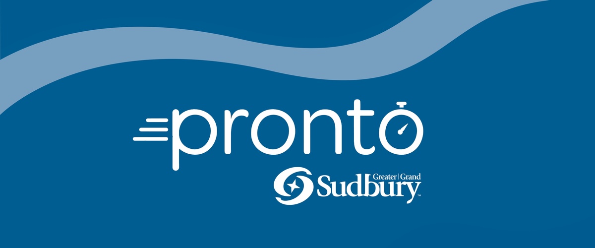 Your Guide to Pronto