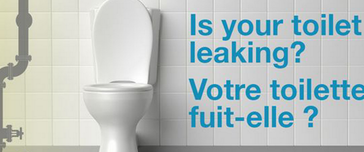 Fix a Leak Week and World Water Day
