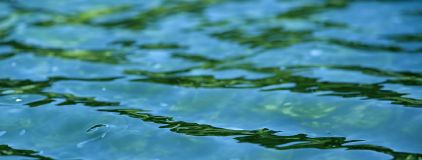 Ripples on a lakes surface.
