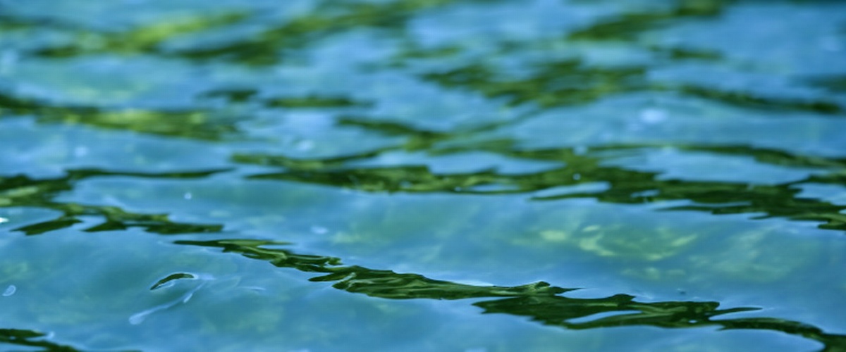 The Hydrological and Urban Water Cycle