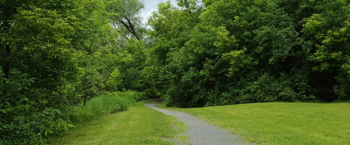 Conservation Areas and Trails