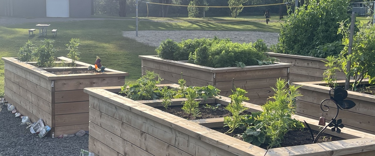 Greater Sudbury's Food System