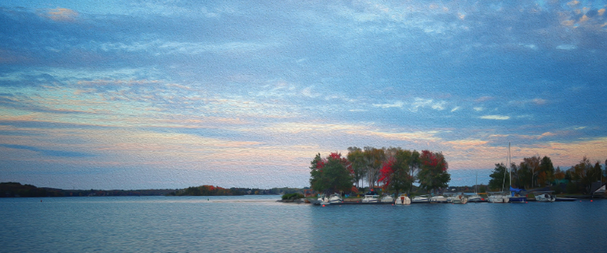 Mayor's Taskforce on 30x30