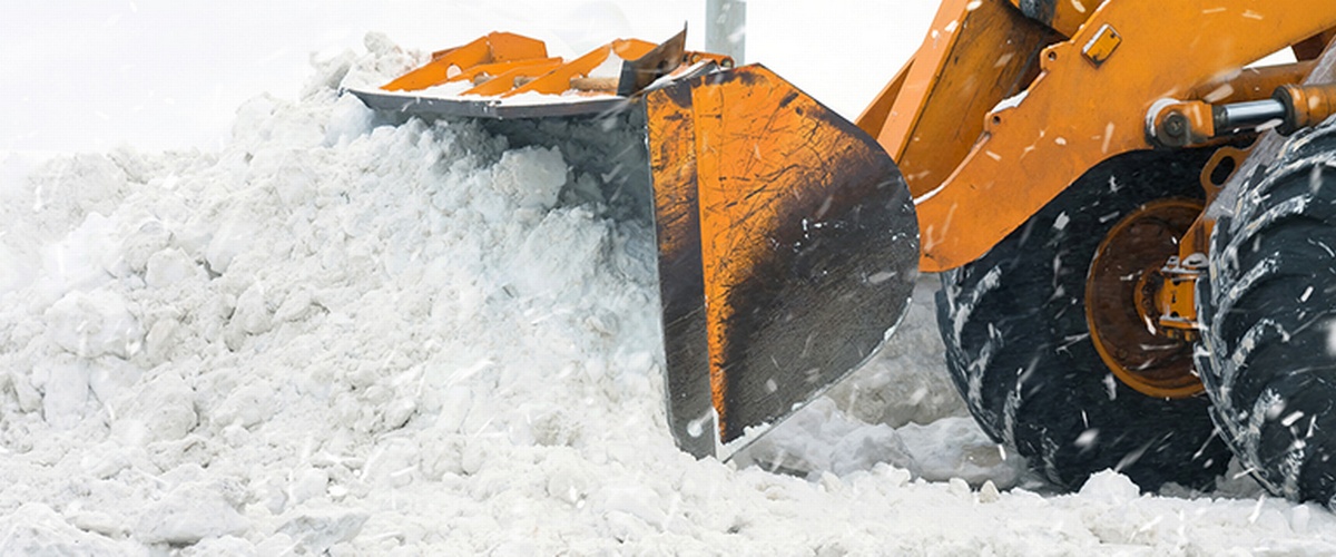 Snow Bank Removal and Disposal