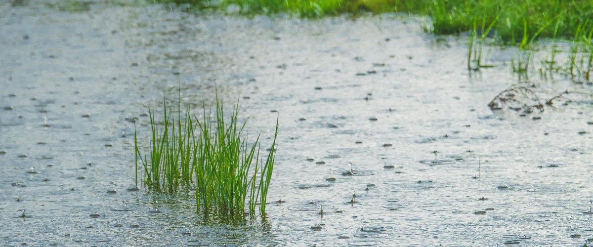 Stormwater CLI Annual Report 2025