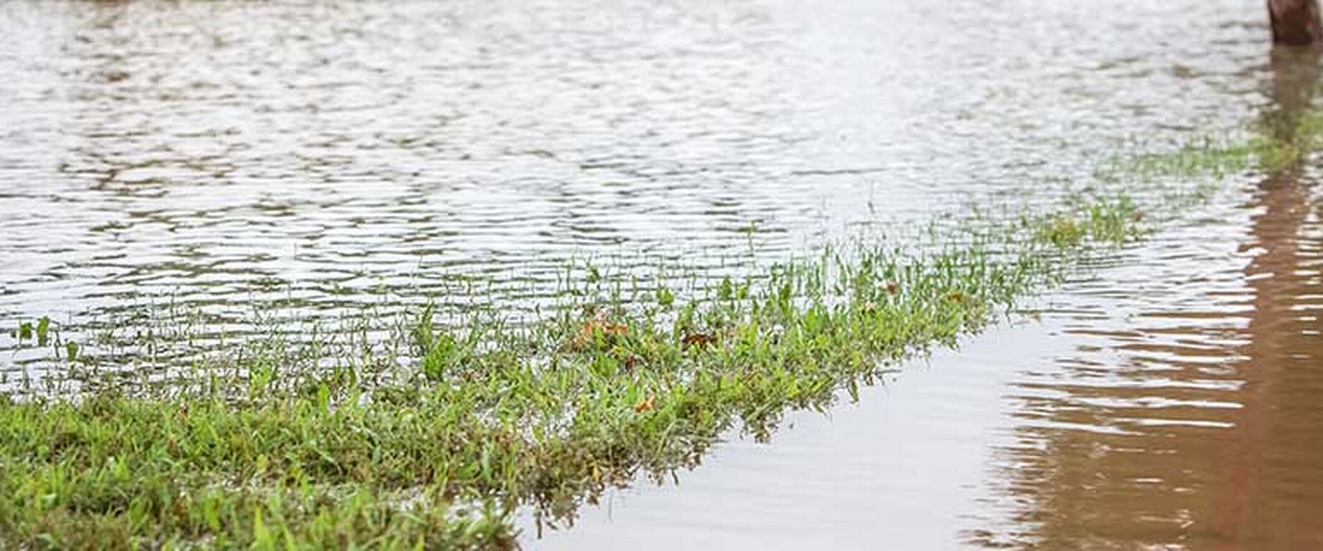 Spring Flooding