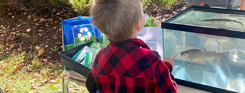 Young boy pointing to a fish in a tank while attending the water festival