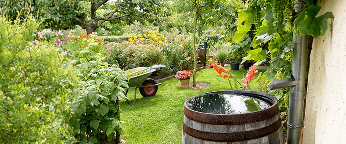 Water Efficiency and Conservation