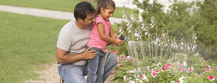 A father and daughter watering a flower garden