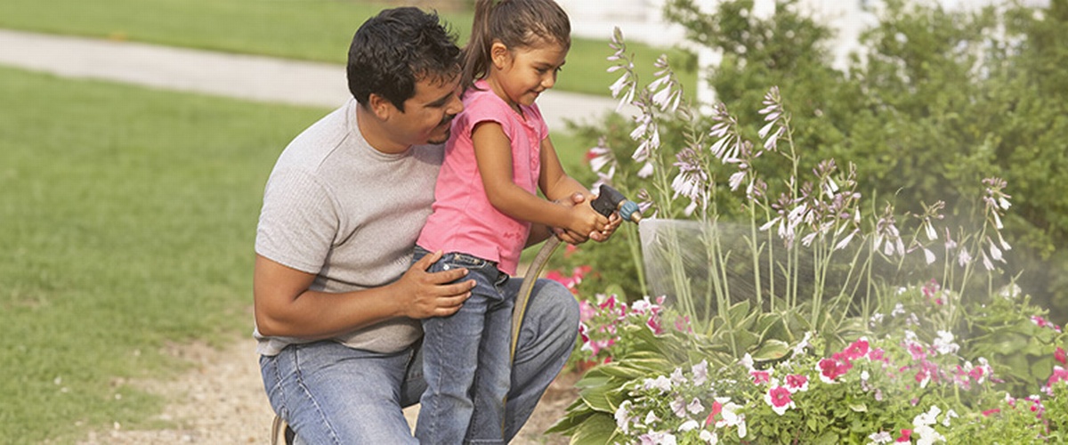 Information for Property Owners