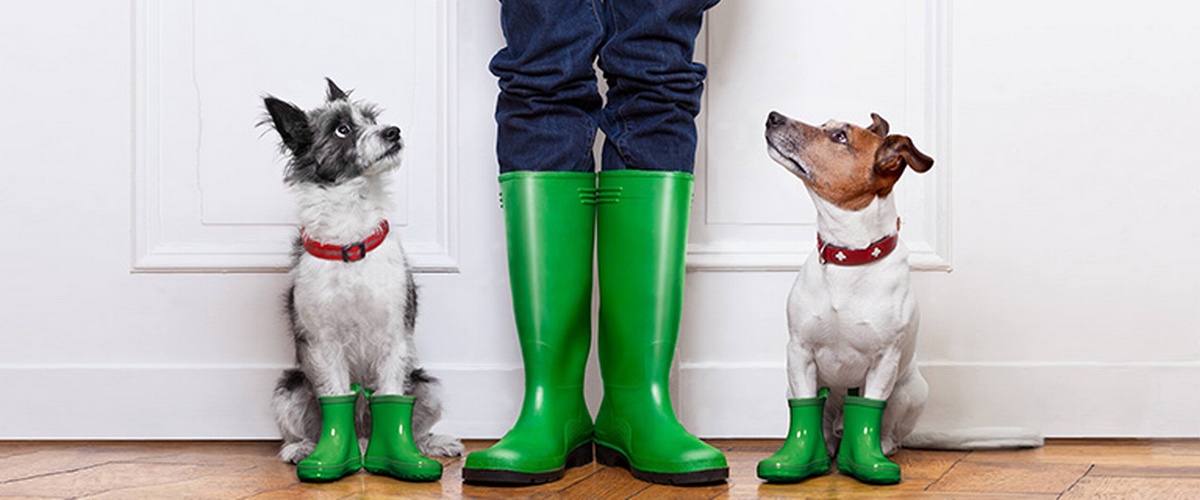 Basement Flooding and Preventative Plumbing